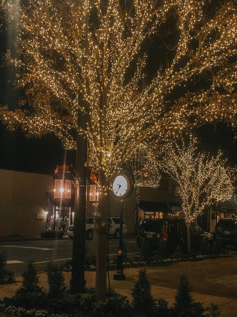 Fairhope Christmas Gift Guide