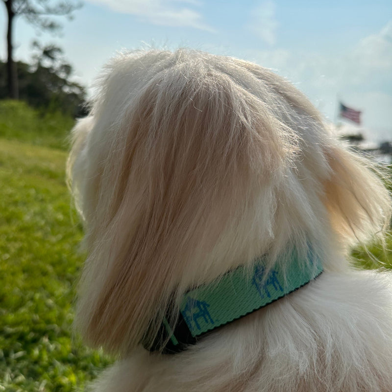 Fairhope Pier Dog Collar