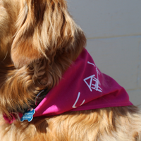 Dog Bandanna Pink