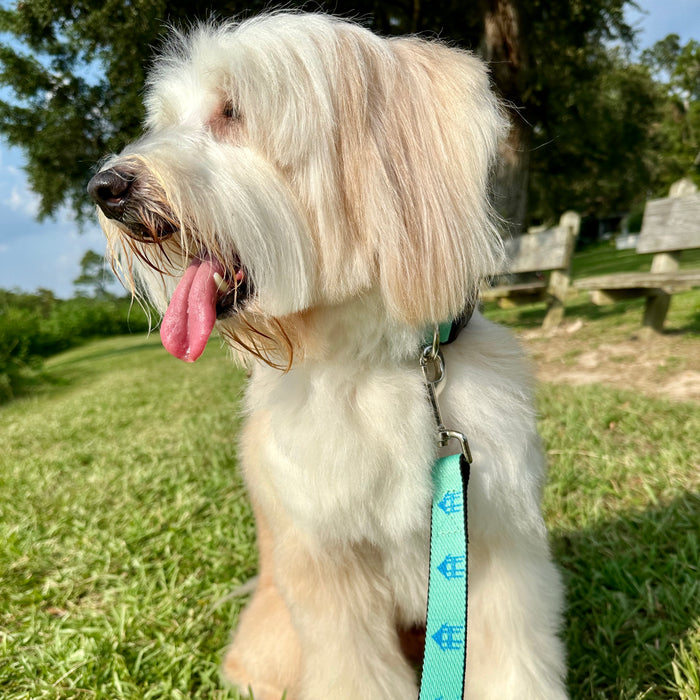 Fairhope Pier  Dog Leash