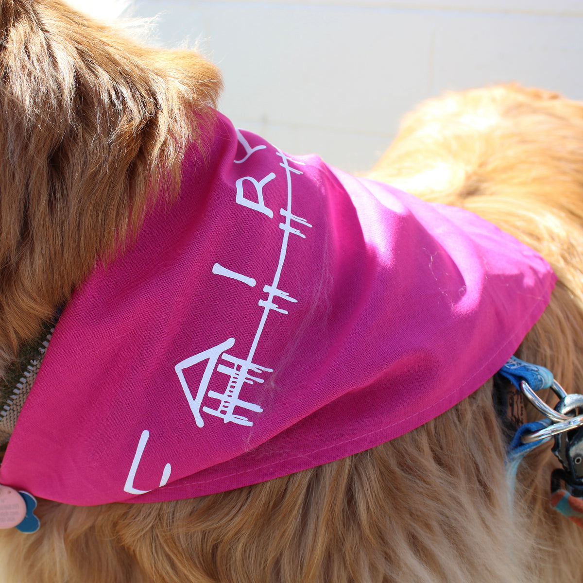 Dog Bandanna Pink