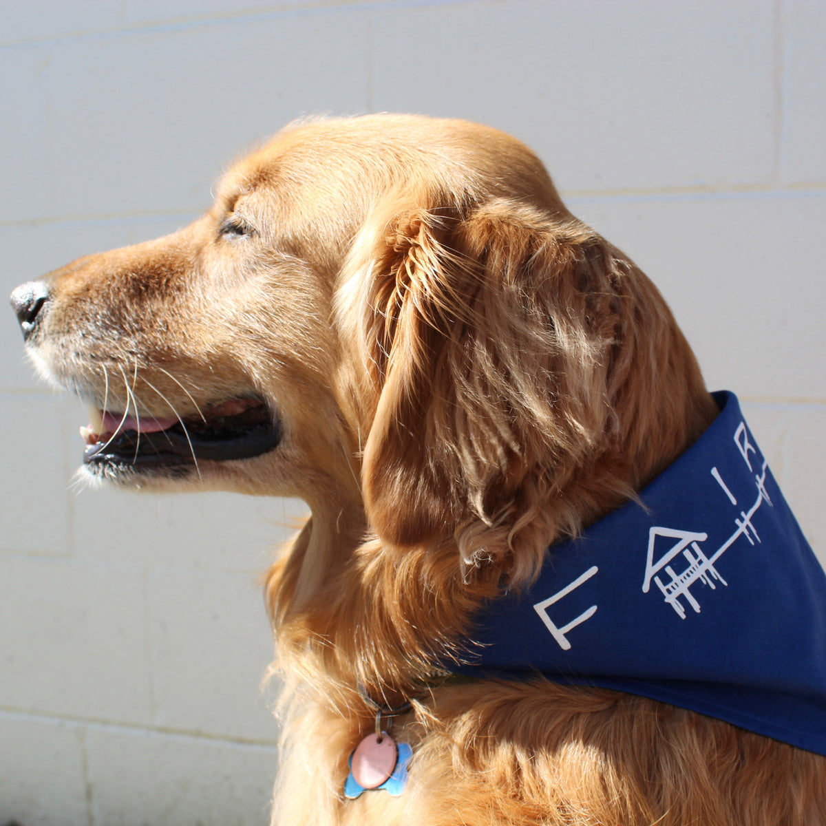 Dog Bandanna Blue