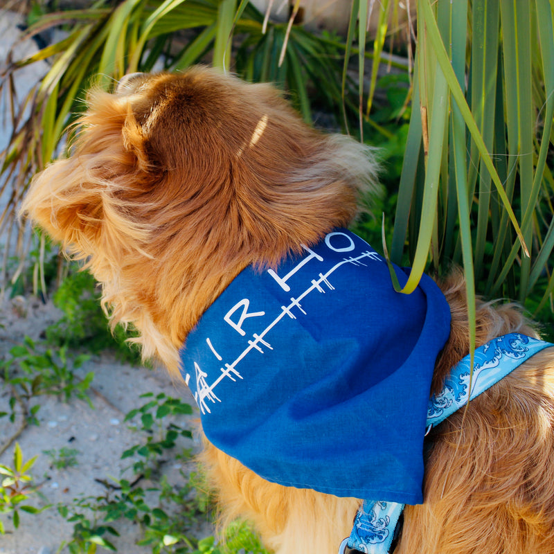 Dog Bandanna Blue